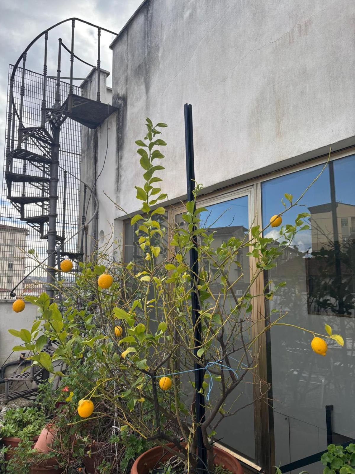 Girasole House Hotel Florence Exterior photo